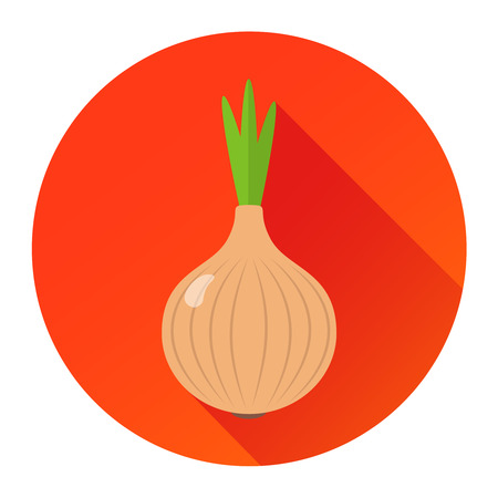 Onion flat design icon isolated on a circle with shadowのイラスト素材