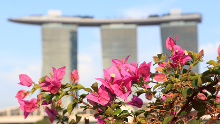 Orchids and Marina Bay Sands hotel, Singaporeのeditorial素材