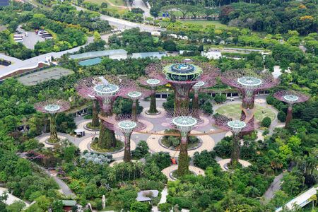 Supertrees at Gardens by the Bay in Singaporeのeditorial素材