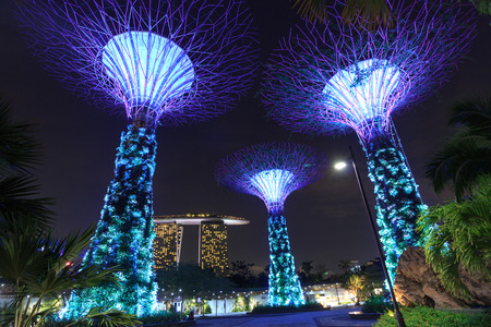 Supertree grove and Marina Bay Sands at night in Gardens by the Bay, Singapore