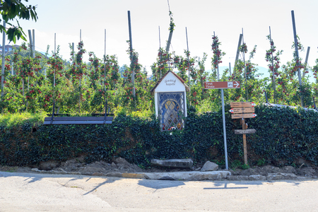 Apple trees, chapel and signposts in South Tyrolの写真素材