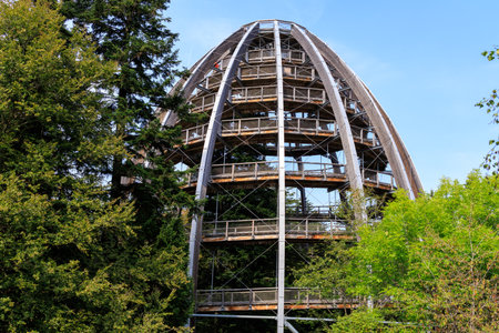 Observation tower Baumei at Treetop Walk (Baumwipfelpfad) in the Bavarian Forest National Park, Germanyの写真素材