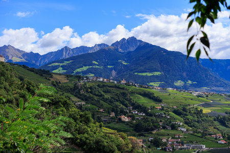 Panorama with castle Schloss Brunnenburg, vineyards, village Tirol (Dorf Tirol) and mountain summit Ifinger in South Tyrol, Italyの写真素材