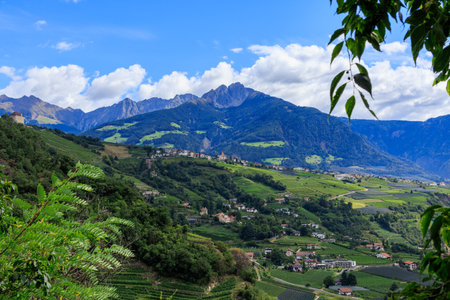 Panorama with castle Schloss Brunnenburg, vineyards, village Tirol (Dorf Tirol) and mountain summit Ifinger in South Tyrol, Italyの写真素材