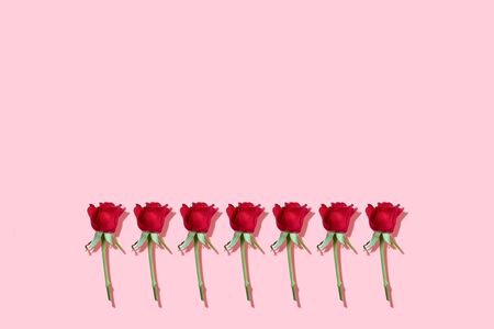 Red roses with prominent shadow border on a pink background - greeting