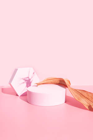 coral pink podium with hexagon and dry flowers background monochrome stage for product promotionの写真素材