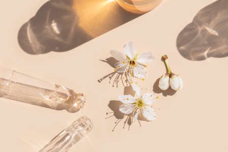 close up of pipette with liquid serum with golden bottle and shadows on beige background with cherry blossom flowersの写真素材