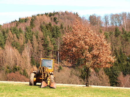 Bagger auf Feld neben einen Baumの写真素材