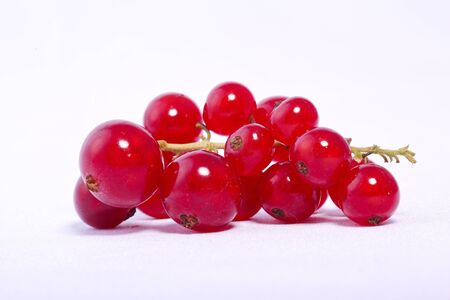 red currant fresh sweet summer fruit berryの写真素材