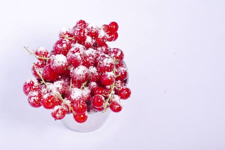 red currant fresh sweet summer fruit berry width powdered sugarの写真素材