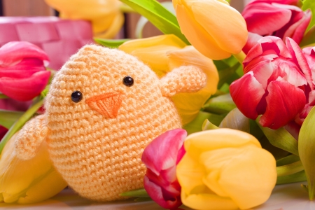 easter and spring decoration with chick and tulip flowersの写真素材