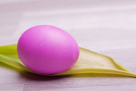 pink pastel colored easter egg on a tulip leaf