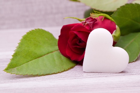 red roses with heart decoration for wedding mothers day and valentines dayの写真素材