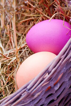 pink and purple dyed easter eggs  in a basketの写真素材