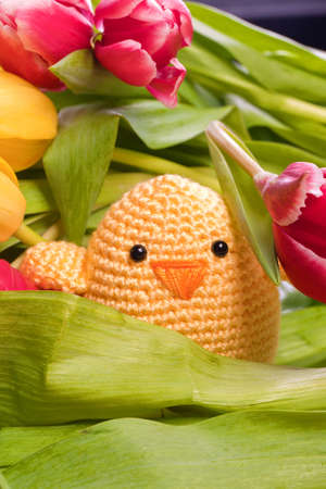 easter and spring decoration with chick and tulip flowers