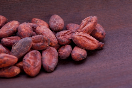 brown natural organic cacoa beanの写真素材