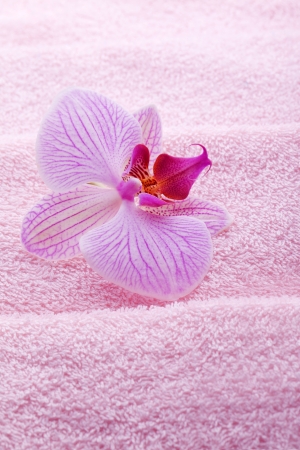 luxury wellness towel with pink orchid flowerの写真素材