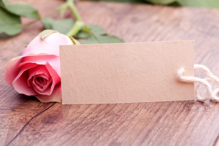 pink roses with gift cardの写真素材