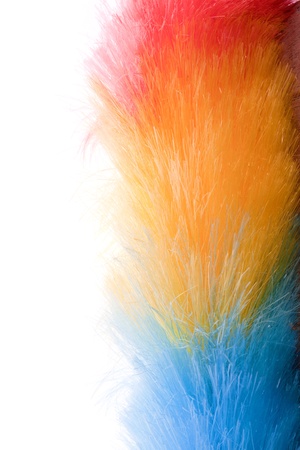 soft colorful feather clean dusterの写真素材
