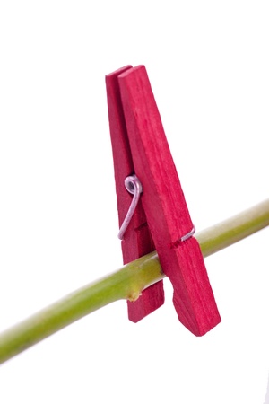 single red plastic clothes pegの写真素材