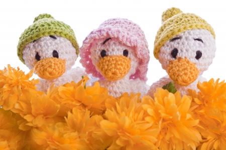 stuffed animal duck chicks with yellow flowersの写真素材