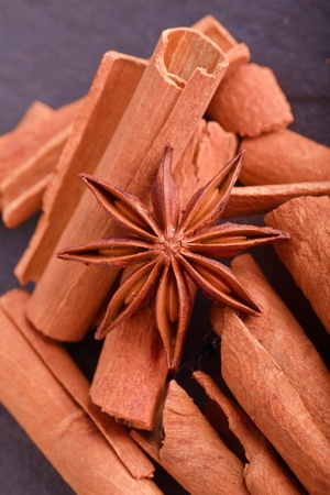 cinnamo and star anis  herb spiceの写真素材