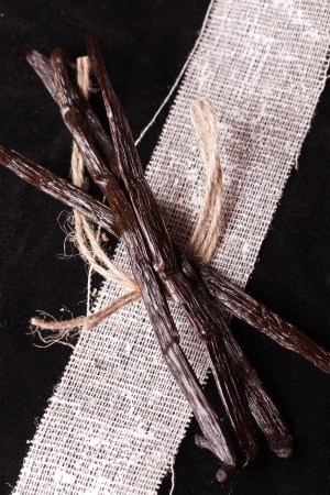 tasty gourmet vanilla bean bundle の写真素材