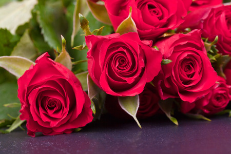 many red roses on black schistの写真素材