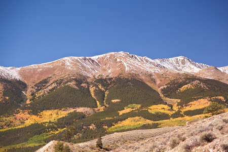 independence pass in fall colorado foliage