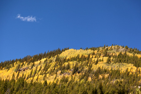 independence pass in fall colorado foliageの写真素材