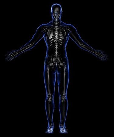 Human skeletonの写真素材