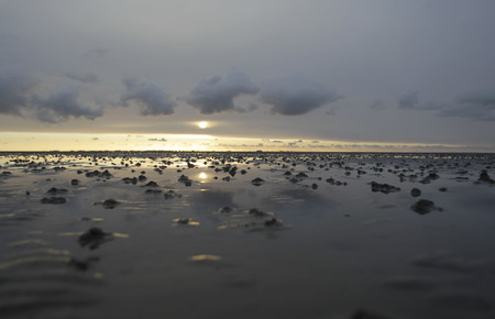 Wadden Sea Schleswig Holstein Germanyの写真素材