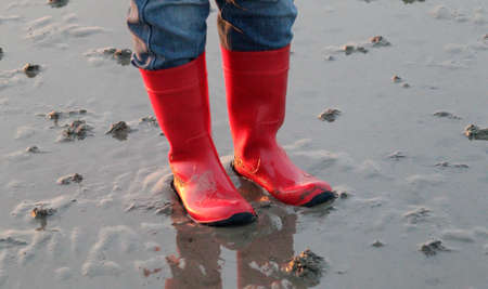 Wattenmeer, Schleswig-Holstein, Deutschlandの写真素材
