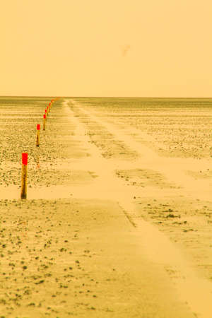 Wattenmeer, Schleswig-Holstein, Deutschland