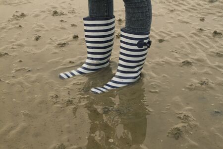 Wattenmeer, Schleswig-Holstein, Deutschlandの写真素材
