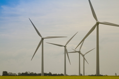 WindrÃ¤der zur Gewinnung alternativer Energien auf einem Rapsfeld