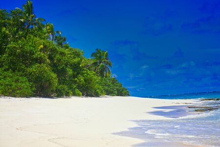 Tropical Island with a paradise beach and palm trees, Fiji Islandsの写真素材