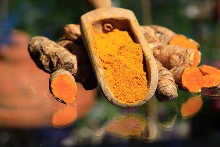 Turmeric powder (turmeric) in a wooden spoon and rootsの写真素材