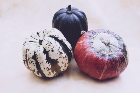 Different kind of pumpkins on a tableの写真素材