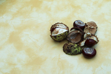 Chestnuts on a table in autumn