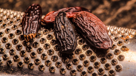 Tonka beans on a dark backgroundの写真素材