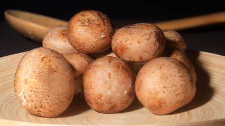 Delicious Mushrooms: Mushrooms in a bowlの写真素材