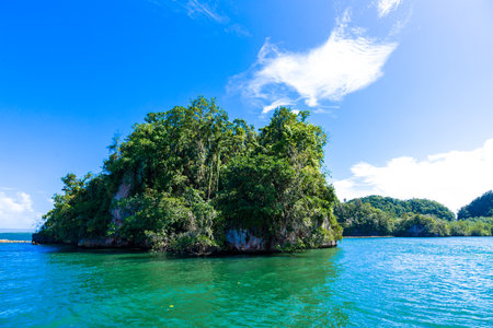 Los Haitises National Park, Dominican Republic, Caribbean, Middle Americaの写真素材