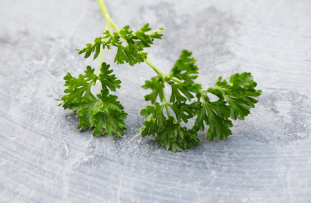 Parsley, Tasty herb for vegan cookingの写真素材