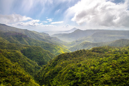 The Black River Gorges National Park in Mauritius, Africaの写真素材