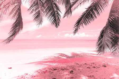 Beautiful tropical beach with coconut palm tree - Vintage filter effect processingの写真素材