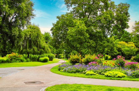 Beautiful summer landscape with green trees and flowers in the park.の写真素材