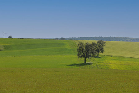 Landscape in Hohenlohe near Ravenstein in Baden-Wuerttemberg, Germany, Europe.