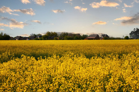 The Peninsula Nordstrand in Germany, Europe.の写真素材