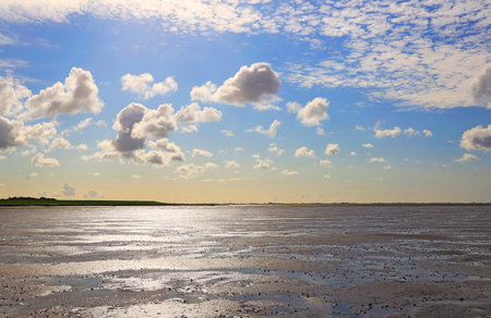The Wadden Sea National Park near the Peninsula Nordstrand, Germany, Europeの写真素材